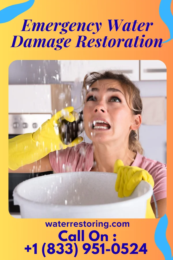 Emergency Water Damage Restoration in Whitney, NV