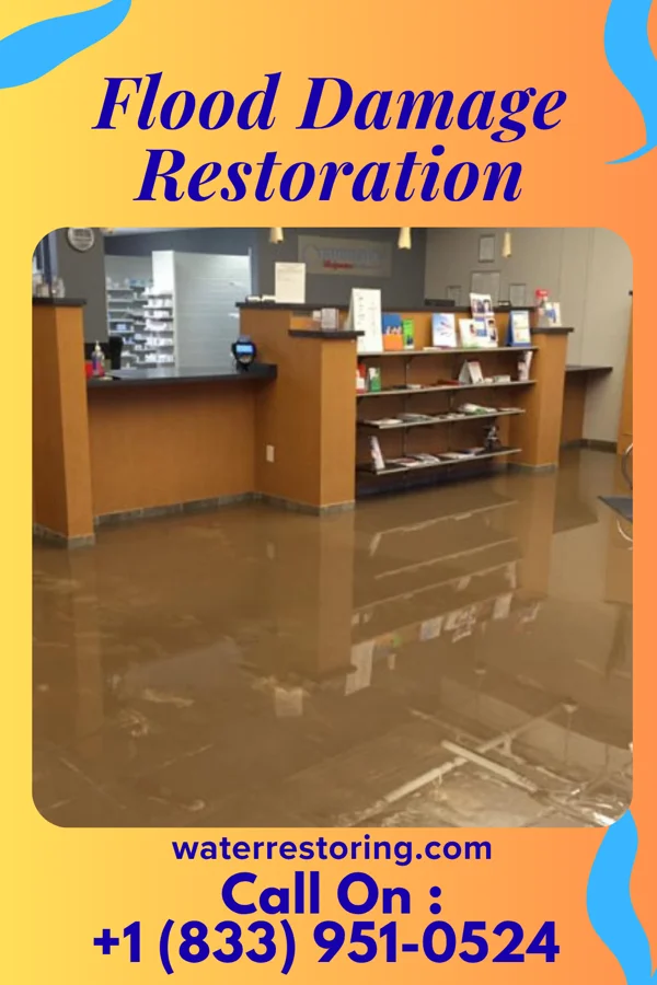 Flood Damage Restoration in Whitney, NV