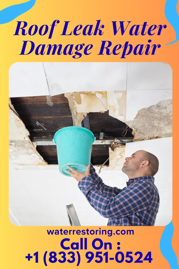 Roof Leak Water Damage Repair in Whitney, NV